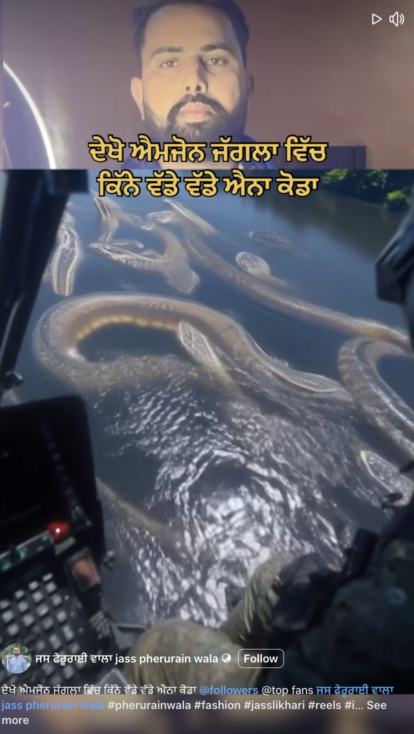 ਐਮਾਜੌਨ ਜੰਗਲ ਵਿੱਚ ਸੱਪ ਦੇ ਨਾਮ ਤੇ ਵਾਇਰਲ ਹੋ ਰਹੀ ਇਹ ਵੀਡੀਓ AI ਜਨਰੇਟਡ ਹੈ 